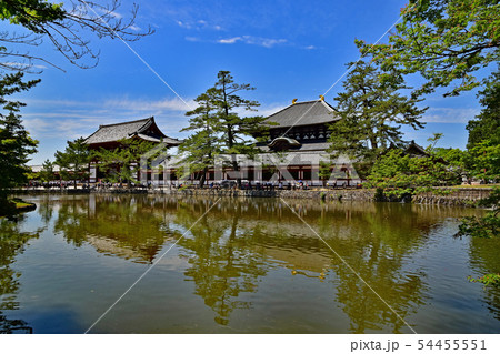 奈良公園、東大寺 54455551