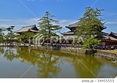 奈良公園、東大寺 奈良公園、東大寺 54455553