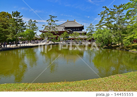 奈良公園、東大寺 54455555
