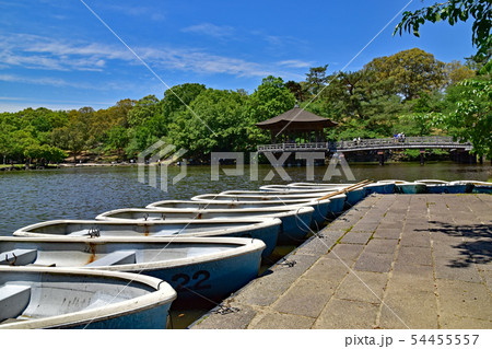奈良公園 奈良公園 54455557