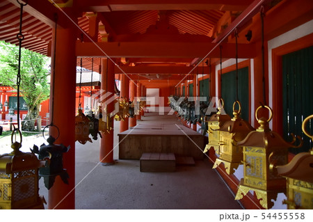 奈良公園、春日大社 奈良公園、春日大社 54455558