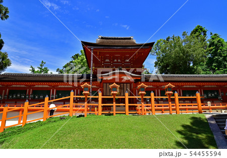 奈良公園、春日大社 奈良公園、春日大社 54455594