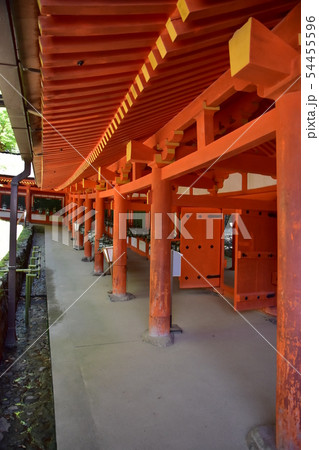 奈良公園、春日大社 奈良公園、春日大社 54455596