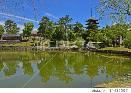 奈良公園、興福寺 奈良公園、興福寺 54455597