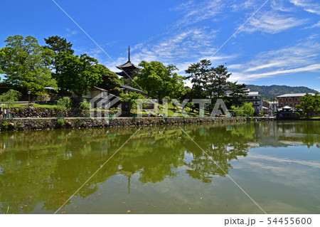 奈良公園、興福寺 54455600