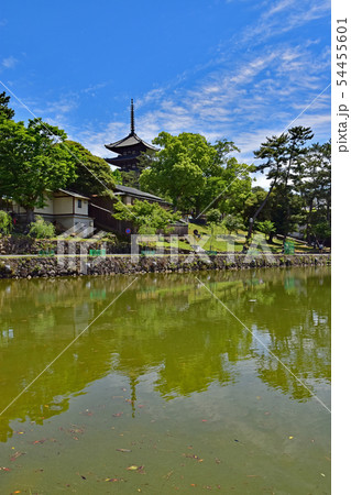 奈良公園、興福寺 奈良公園、興福寺 54455601