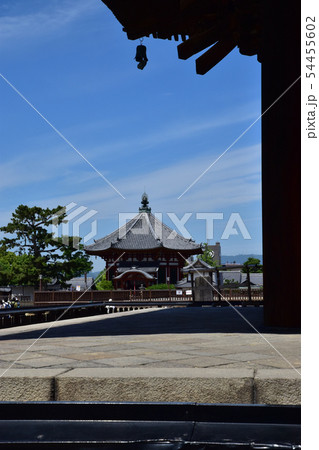 奈良公園、興福寺 奈良公園、興福寺 54455602