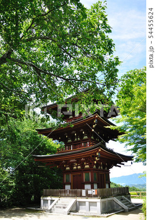 岡寺 54455624