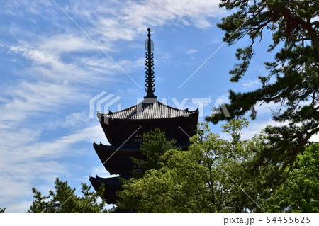 奈良公園、興福寺 54455625