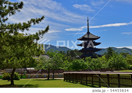 奈良公園、興福寺 奈良公園、興福寺 54455634