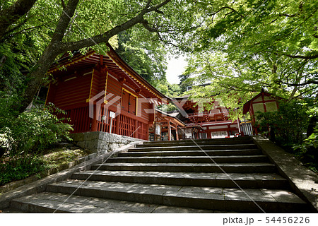 談山神社 西宝庫と本殿 談山神社 西宝庫と本殿 54456226