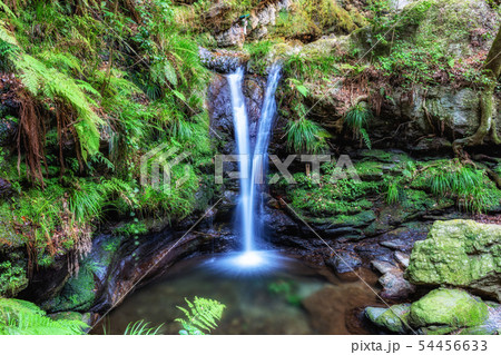 埼玉　越生　黒山三滝 54456633