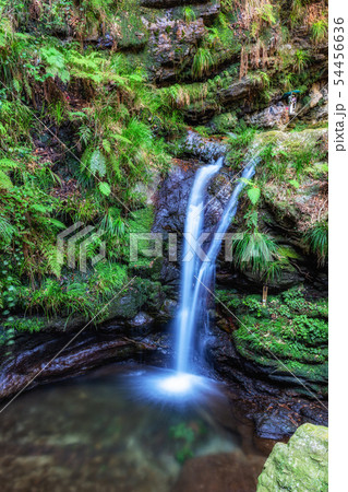 埼玉　越生　黒山三滝 54456636