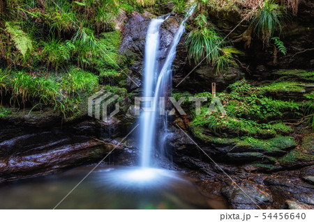 埼玉　越生　黒山三滝（女滝） 54456640