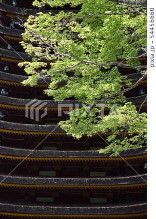 談山神社　十三重塔 54456660