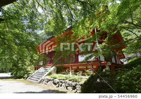 談山神社　神廟拝所 54456960