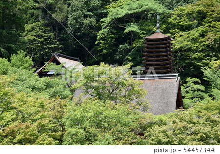 談山神社 54457344