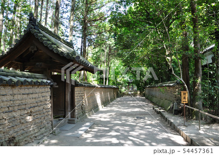 唐招提寺 唐招提寺 54457361