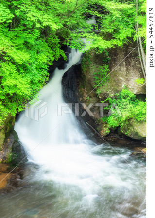 日光　新緑の竜頭の滝 54457819