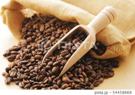 コーヒー豆 54458669