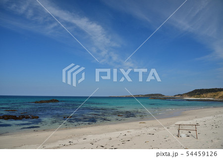 角島大浜海水浴場 角島大浜海水浴場 54459126