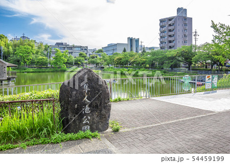 愛知県　名古屋市　隼人池 54459199