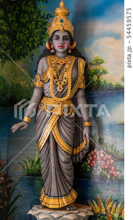 【シンガポールの風景】スリ・クリシュナン寺院 54459575