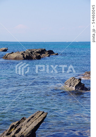 横須賀天神島 54460045