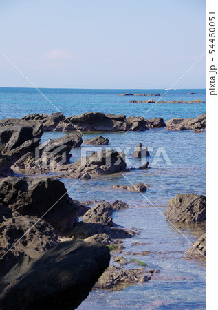横須賀天神島 横須賀天神島 54460051