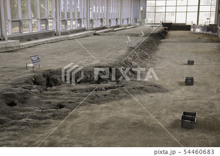 野島断層(1) 54460683