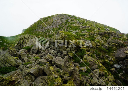 羅臼岳の岩稜帯 54461205