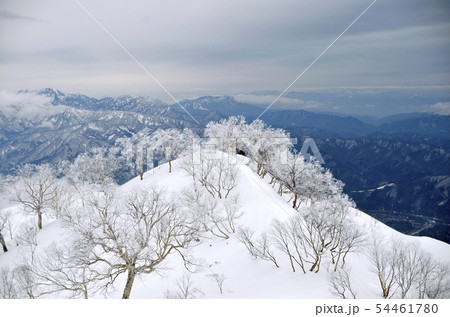 厳冬の唐松岳 54461780