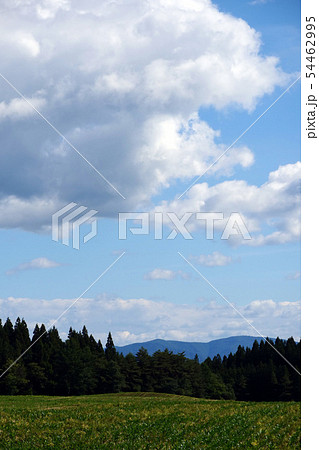 風景写真 小岩井農場のトウモロコシ畑 小岩井農場と岩手山とトウモロコシ畑 54462995