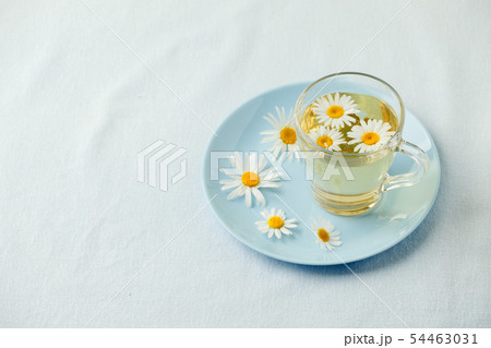 Herbal tea with fresh chamomile flowers in glass 54463031