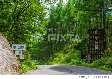 木祖村境峠　 54463163