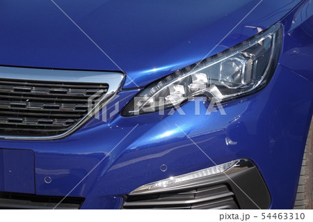 輸入車　車のヘッドライト 54463310