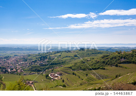 Valpolicella hills landscape, Italian viticulture 54463867