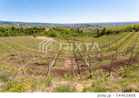 Valpolicella hills landscape, Italian viticulture 54463868