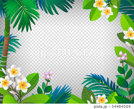 Summer banner template. Summer banner template. 54464504