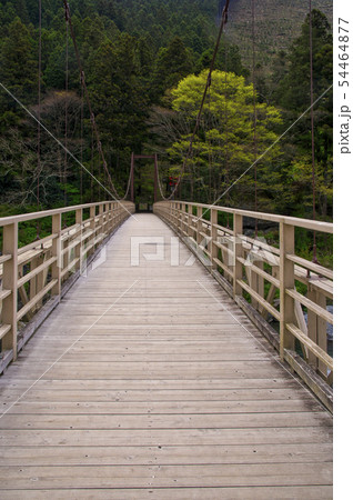 新緑の御岳渓谷 御岳小橋 新緑の御岳渓谷 御岳小橋 54464877