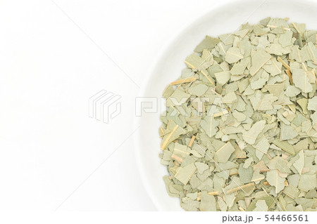 ユーカリハーブティー、ユーカリの葉、ユーカリプス、ユーカリプタス：Eucalyptus leaves 54466561