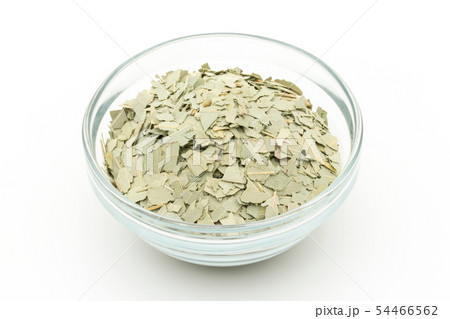 ユーカリハーブティー、ユーカリの葉、ユーカリプス、ユーカリプタス:Eucalyptus leaves ユーカリハーブティー、ユーカリの葉、ユーカリプス、ユーカリプタス:Eucalyptus leaves 54466562