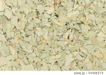 ユーカリハーブティー、ユーカリの葉、ユーカリプス、ユーカリプタス:Eucalyptus leaves ユーカリハーブティー、ユーカリの葉、ユーカリプス、ユーカリプタス:Eucalyptus leaves 54466574