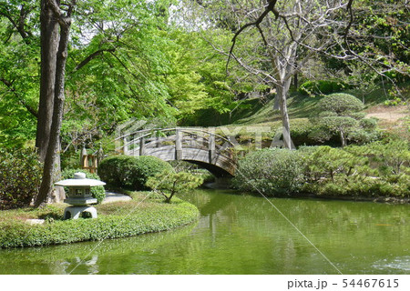 フォートワース日本庭園の円月橋と石灯籠 フォートワース日本庭園の円月橋と石灯籠 54467615