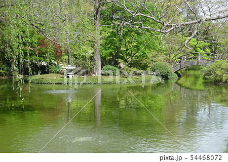 フォートワース植物園の池と円月橋 フォートワース植物園の池と円月橋 54468072