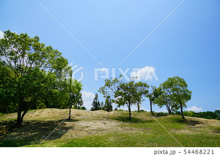 蜻蛉池公園 大阪府 蜻蛉池公園 大阪府 54468221
