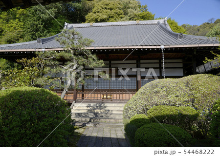 大津逢坂妙光寺　本堂 54468222
