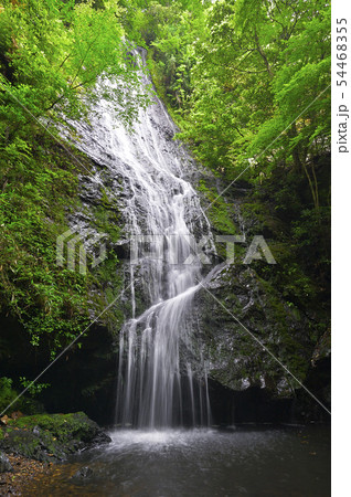 琴滝（京都府船井郡京丹波町） 54468355