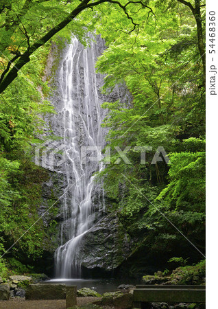 琴滝(京都府船井郡京丹波町) 琴滝(京都府船井郡京丹波町) 54468360