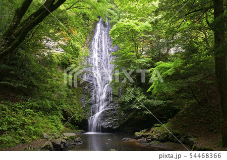 琴滝（京都府船井郡京丹波町） 54468366